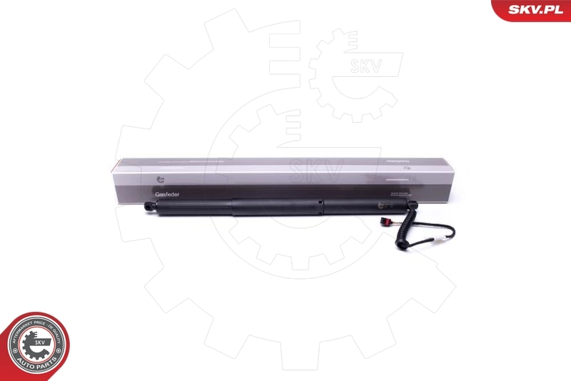 Electric Motor, tailgate